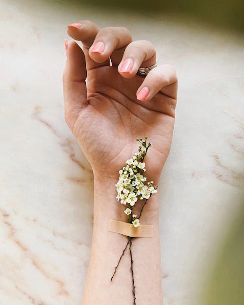 From above of hand of crop unrecognizable female with manicure and small blossoming flowers on thin stalks