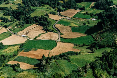 Δωρεάν στοκ φωτογραφιών με αγροτική περιοχή, αεροφωτογράφιση, γήπεδα