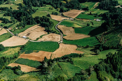 Aerial View of Green and Brown Grass Field