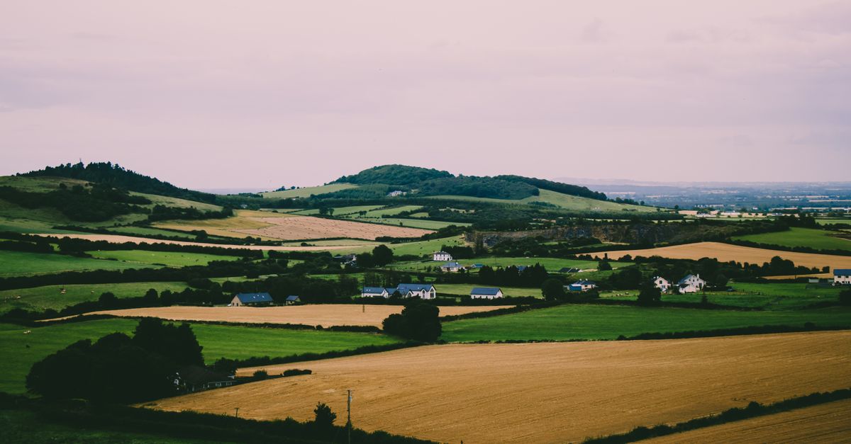 Scenic landscape of Ireland with green fields, rolling hills, and rural houses.