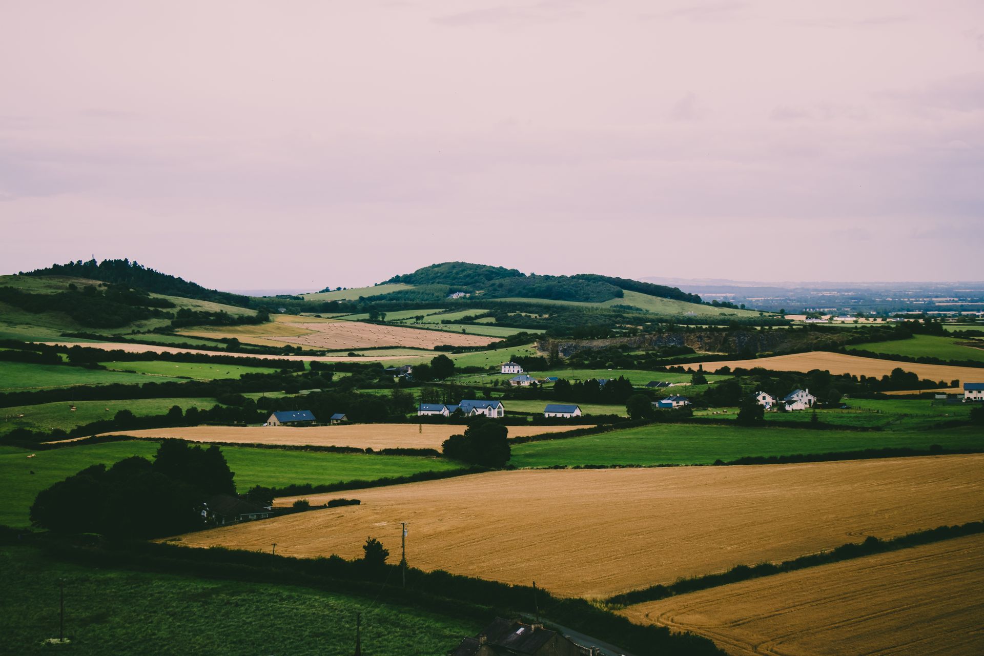 Scenic landscape of Ireland with green fields, rolling hills, and rural houses.