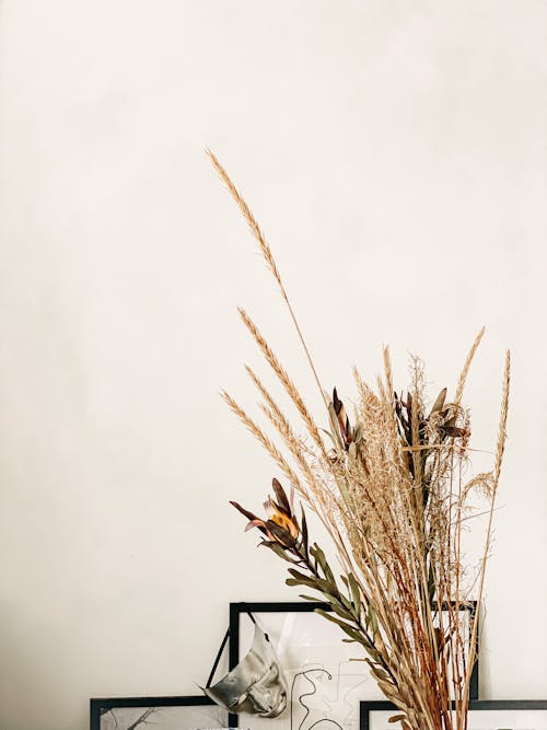 Brown Wheat Plant Under White Sky