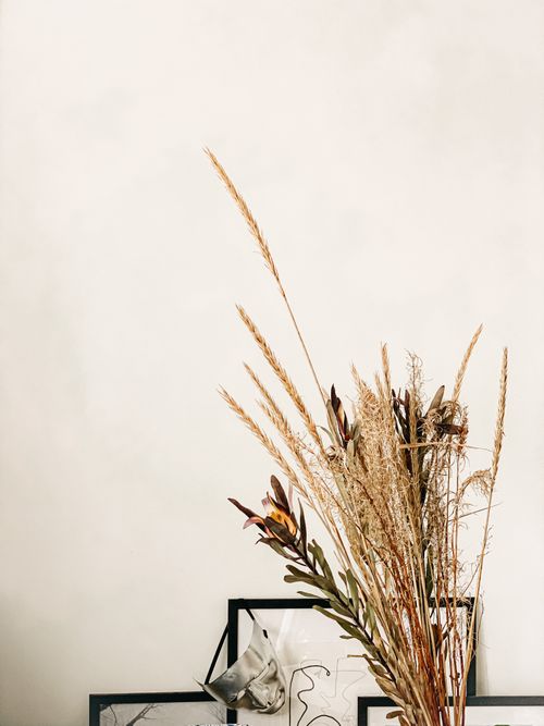 Free Aesthetic minimalist setting featuring dried flowers against a neutral wall, highlighting simple interior design. Stock Photo