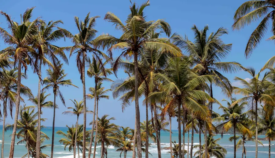 Jour 4 à Galle