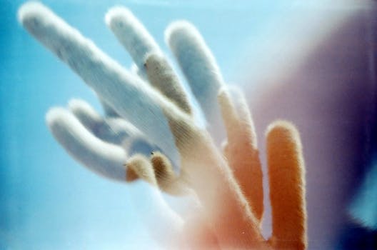 Blurred cactus silhouette creates a dreamy abstract scene under a clear blue sky.