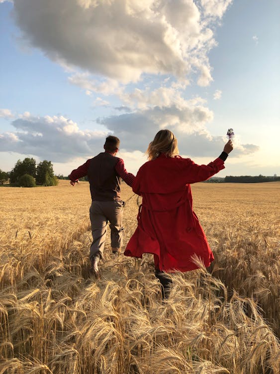 Free Back View of a Romantic Couple Running in the Middle of the Wheat Field Stock Photo