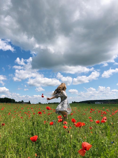 Gratis arkivbilde med blomstereng, kjole, kvinne