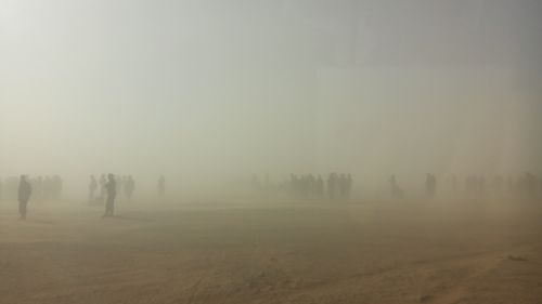 Free Atmospheric scene with silhouettes amidst sand and dust in Tindouf, Algeria. Stock Photo