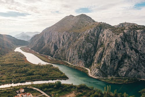 ağaç, akarsu, akış içeren Ücretsiz stok fotoğraf