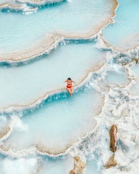 Image by Spencer Davis