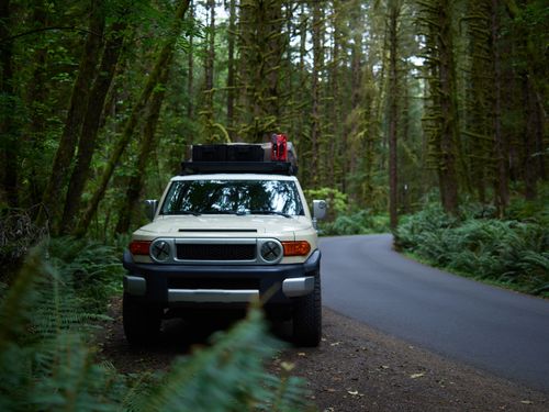 Free Modern light beige car parked on roadside near narrow rural road in tropical woods on daytime Stock Photo