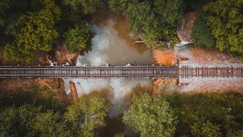 公園, 冷靜, 原本 的 免费素材图片