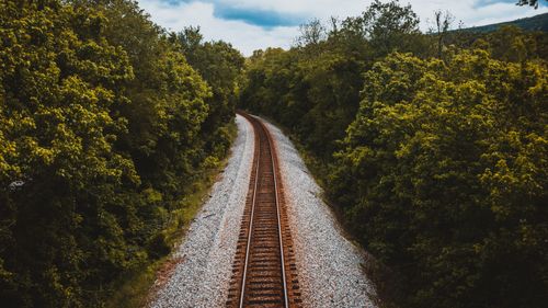 Free High angle of empty rail line running amidst lush foliage of forest in countryside Stock Photo