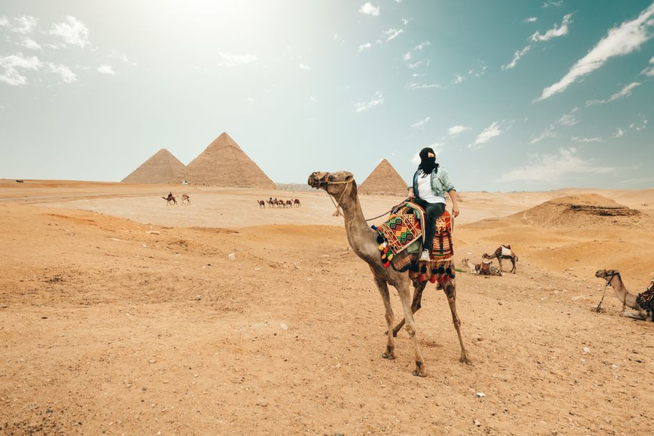 Full body of male traveler on camel discovering endless dry desert with Pyramid of Cheops