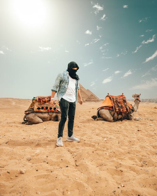 Full body of anonymous male traveler wearing hijab standing in desert with camels