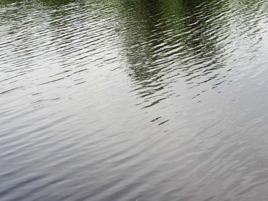 Free stock photo of aqua, reflection, riflesso