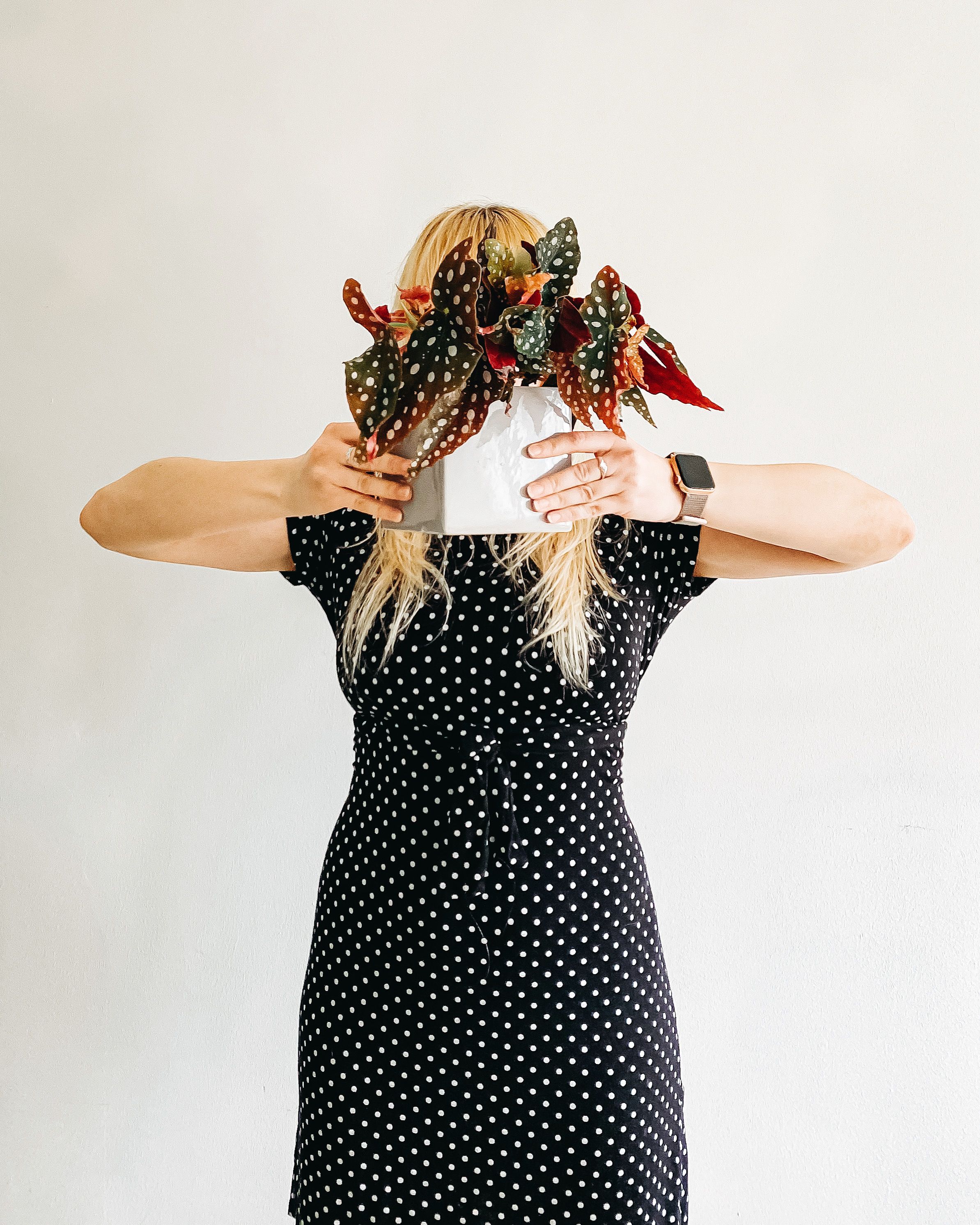 Woman in Black and White Polka Dot Dress Holding an Indoor Plant · Free ...