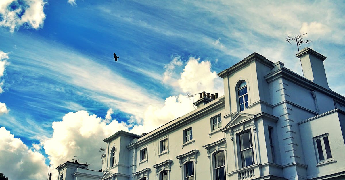 How to lead a bird out of your house