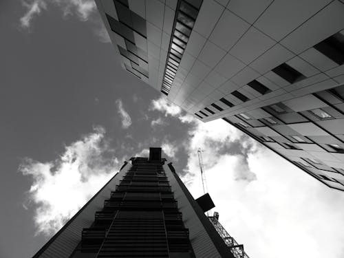 무료 고층 빌딩의 로우 앵글 촬영 스톡 사진