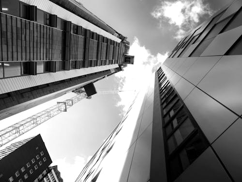 Grayscale Photography of Glass Buildings