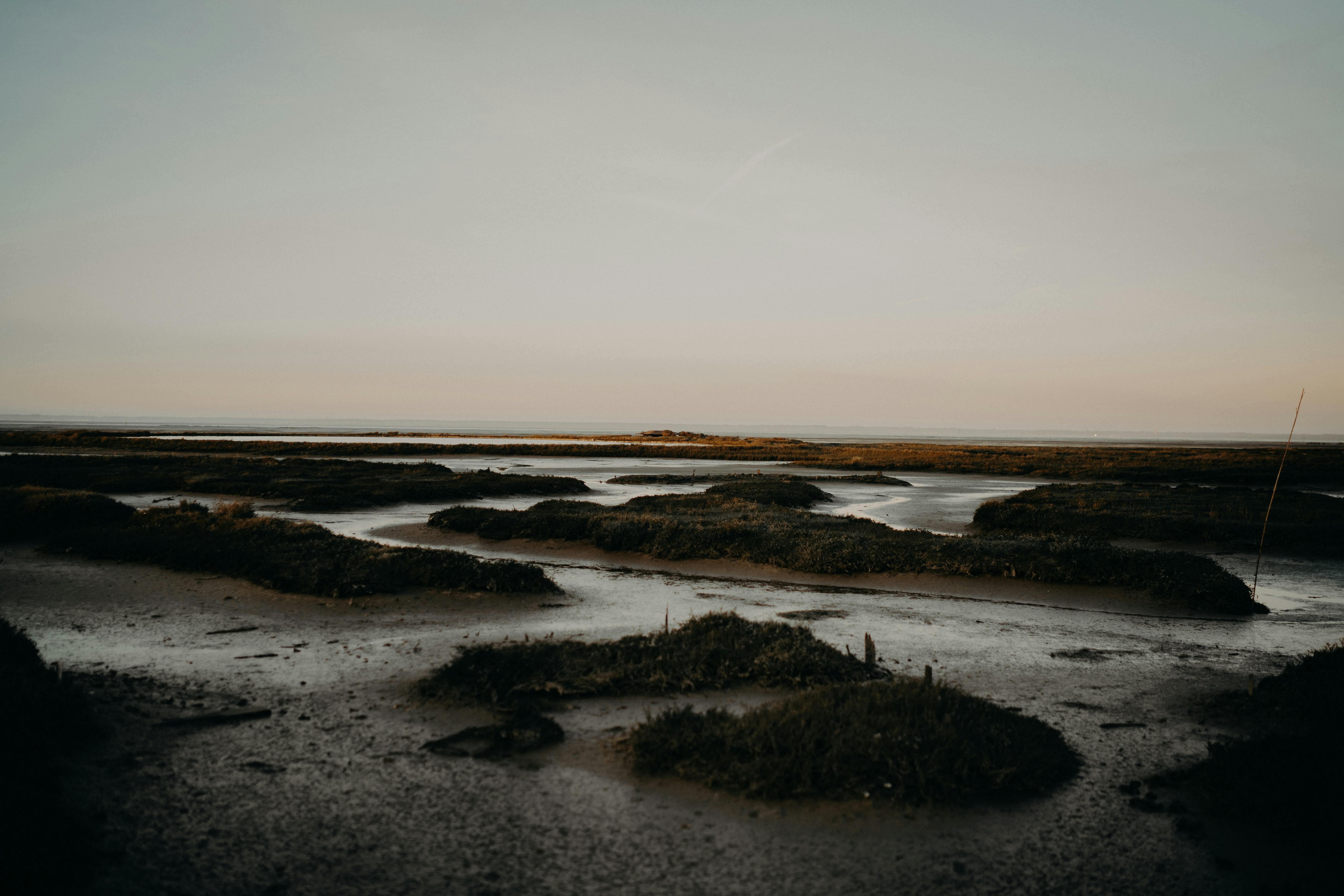 brown sand near body of water