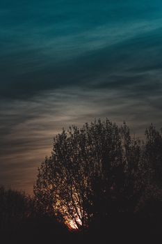 Captivating silhouette of a tree against a vivid sunset sky in Great Bookham, England.