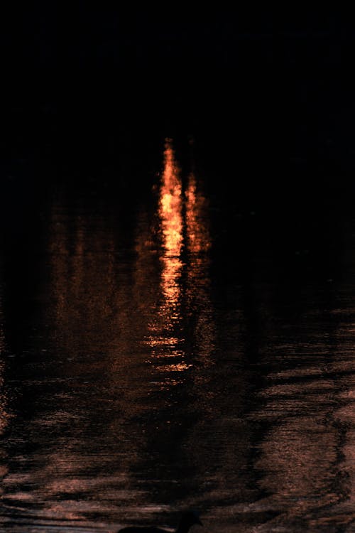 Free stock photo of lake, sunset