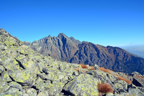 Безкоштовне стокове фото на тему «tatry, альпінізм, альпініст»