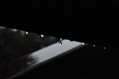 Foto profissional grátis de água, cerca, gota de chuva
