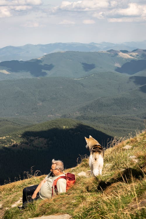 Foto d'estoc gratuïta de a l'aire lliure, activitat, admirar