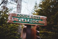 Wooden sign on pole in forest