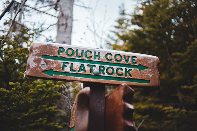 Wooden Sign On Pole In Forest