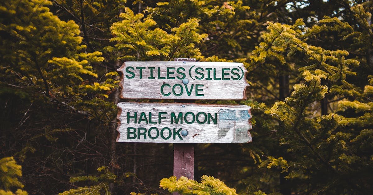 How to pitch a show to Netflix Canada