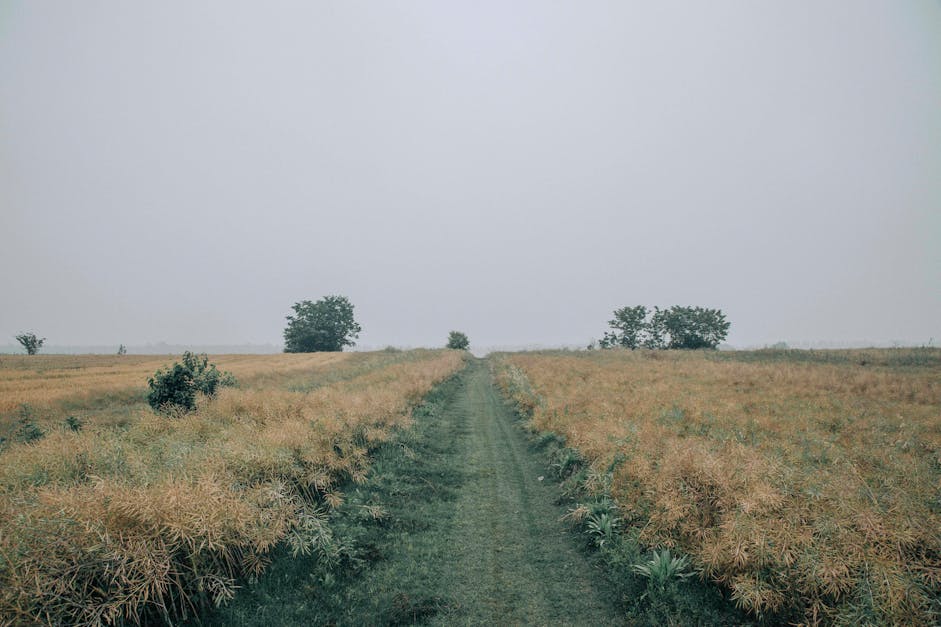 Green Grass Field Under Gray Sky · Free Stock Photo