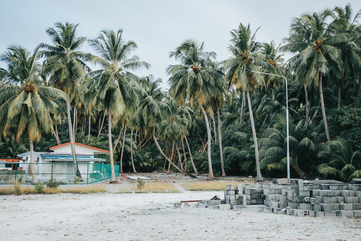 Insule locale Maldive - plajă cu palmieri și clădire simplă