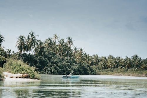 Gratis lagerfoto af båd, himmel, kokostræer
