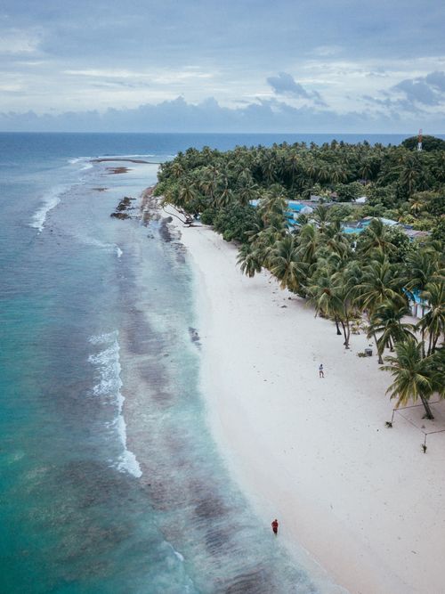 Free Stunning aerial view of a coconut tree-lined beach in Maalhos, Maldives, showcasing pristine white sand and azure waters. Stock Photo