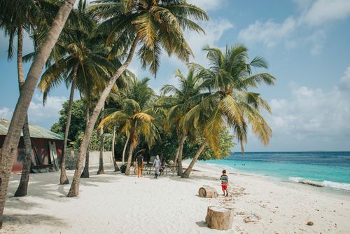 Free Picturesque scenery of sandy beach with green palms people walking and turquoise ocean against cloudy sky on sunny day Stock Photo