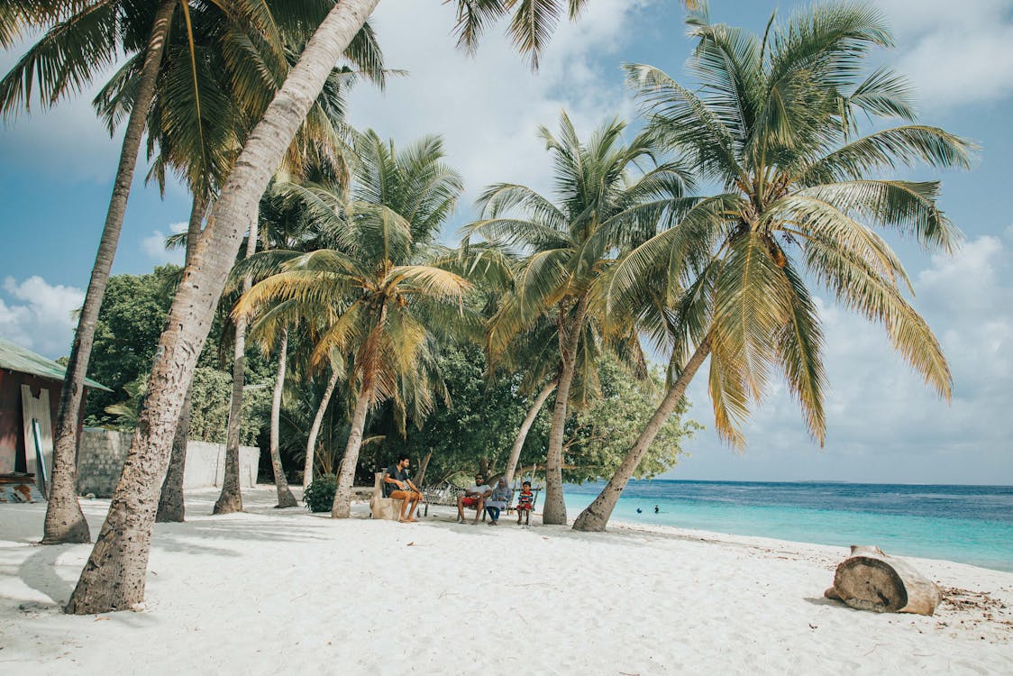 People on Beach