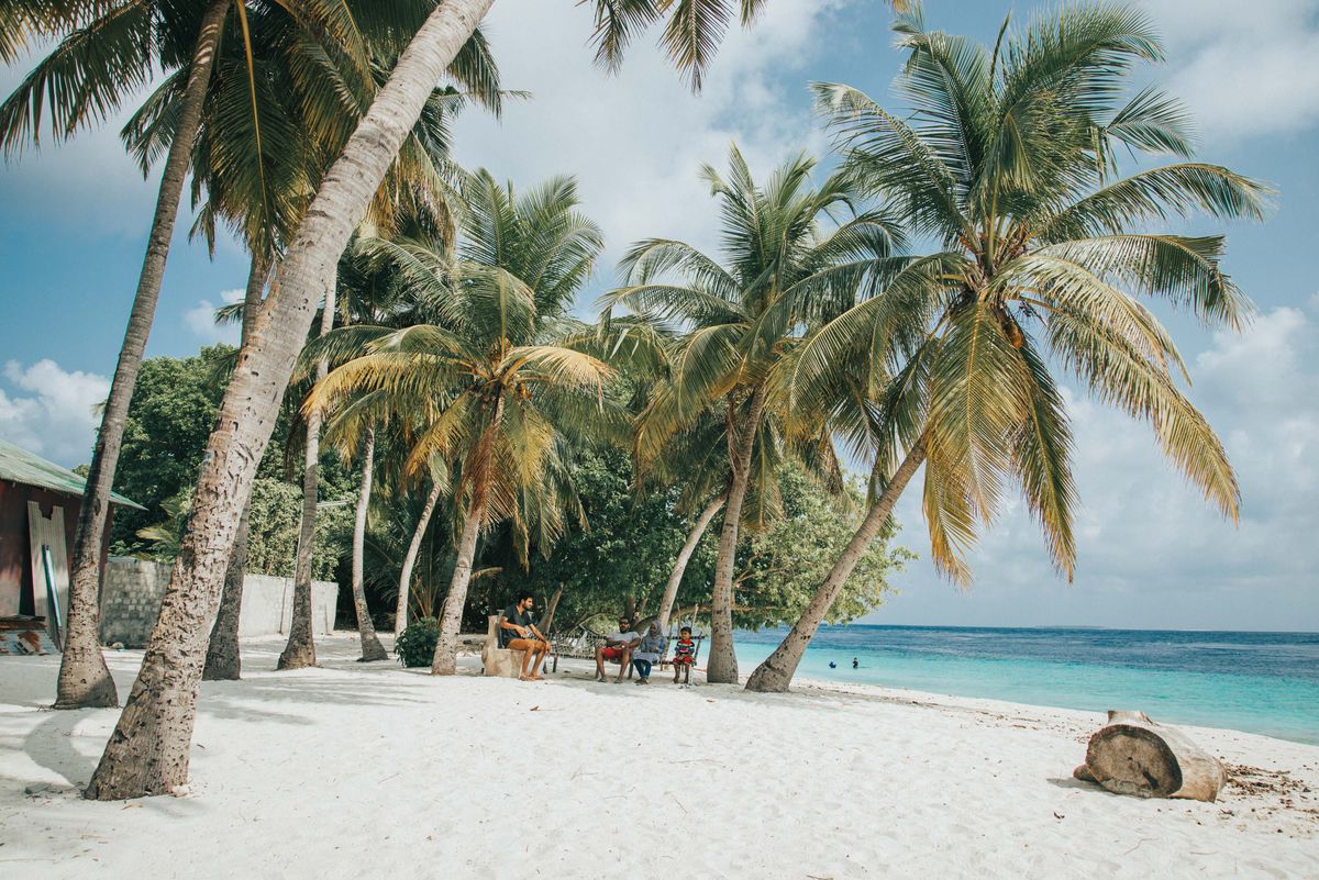 Insule locale Maldive - plajă cu nisip alb și palmieri
