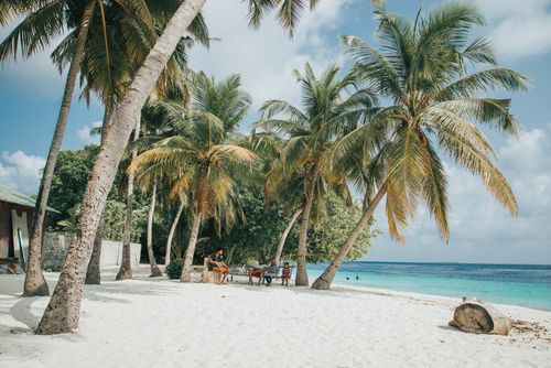 Free Idyllic tropical beach with palm trees and white sand in Maalhos, Maldives. Stock Photo