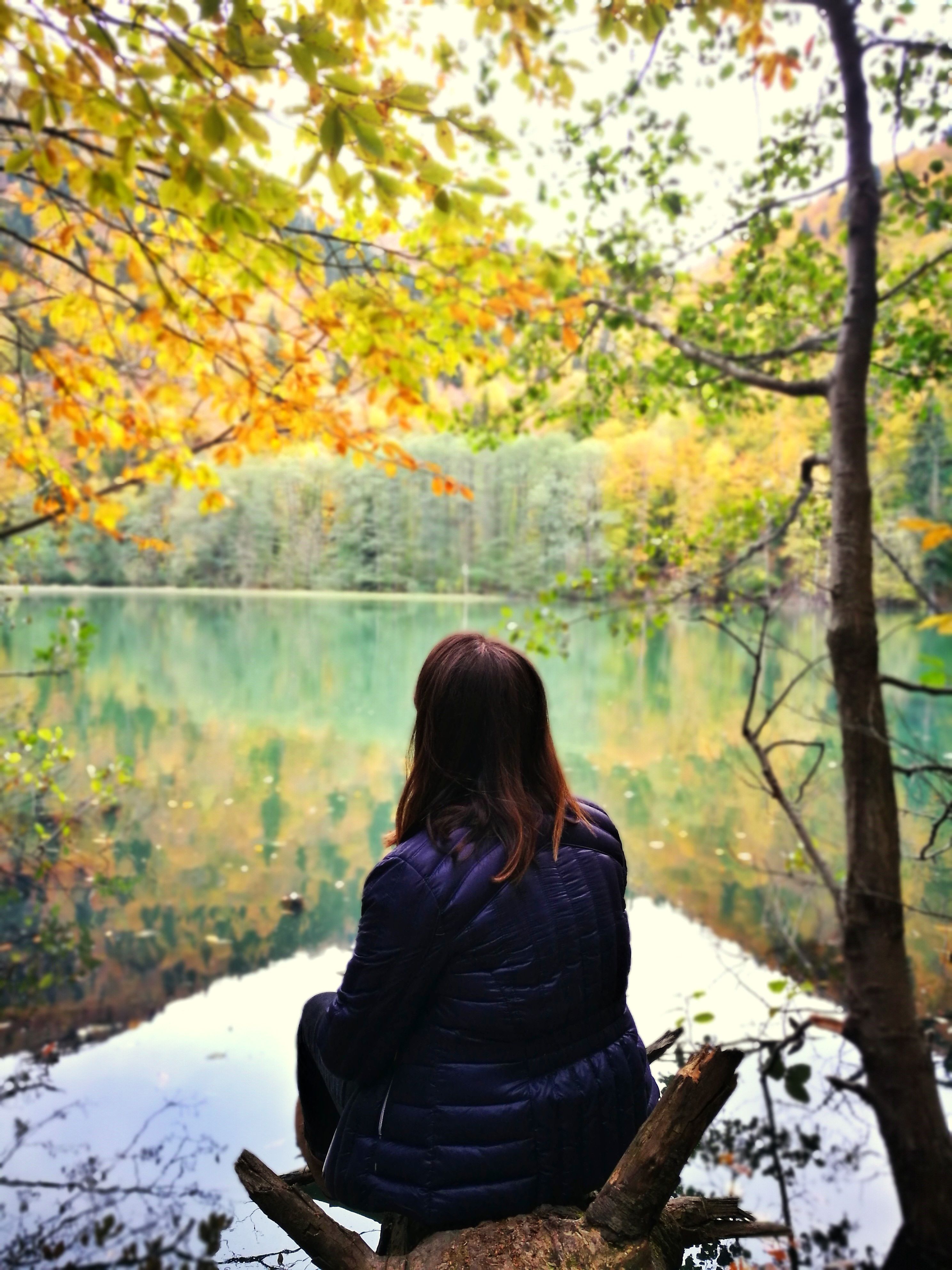 Woman in Black Jacket Sitting on Tree Log Near Lake · Free Stock Photo