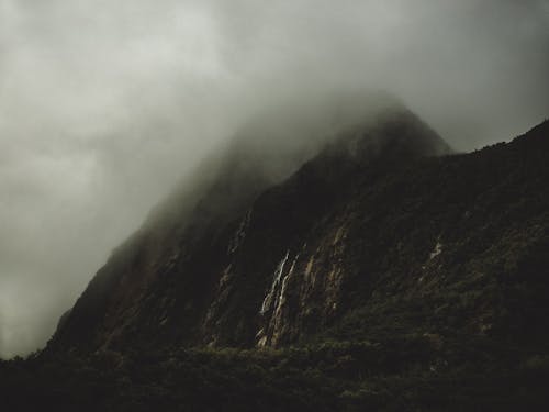 Gratis Nieblas En La Montaña Foto de stock