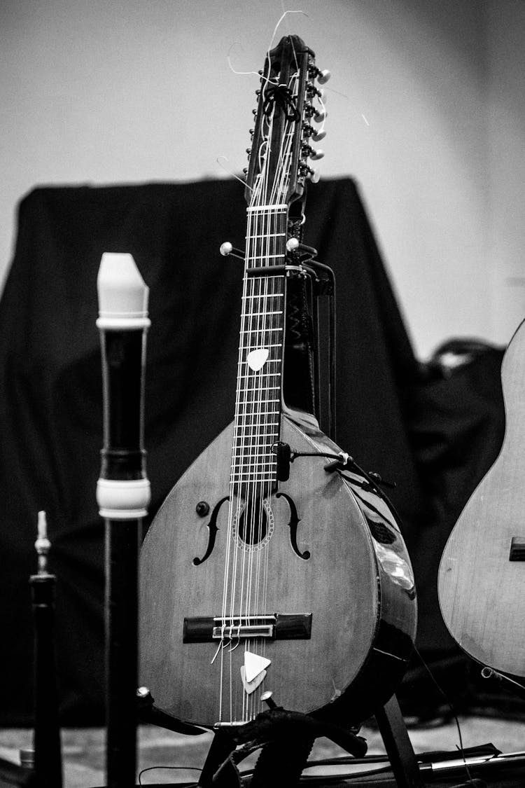 Mandolin Near Musical Instruments On Stage Indoors