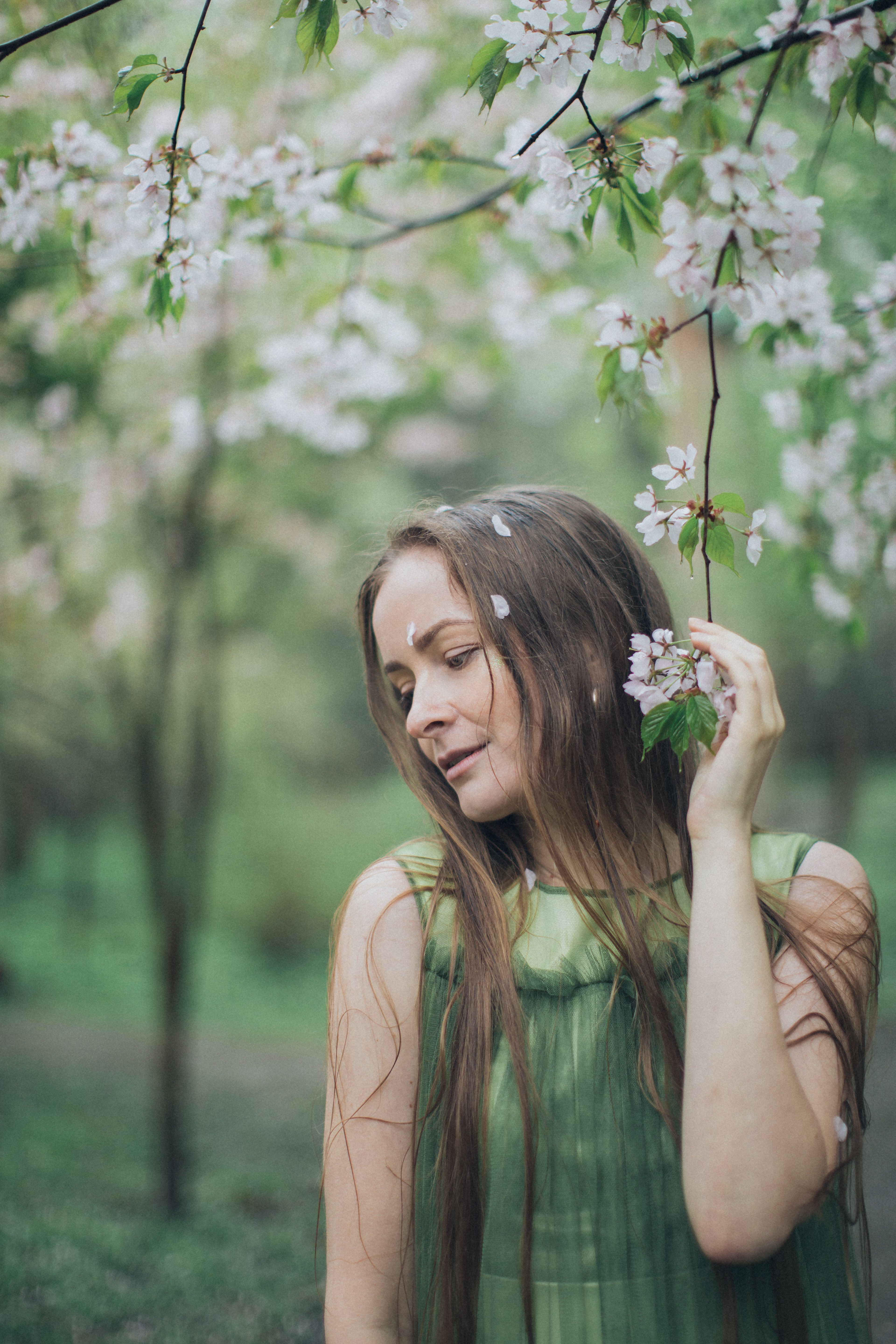 春天，白人妇女在郁郁葱葱的花园里欣赏樱花