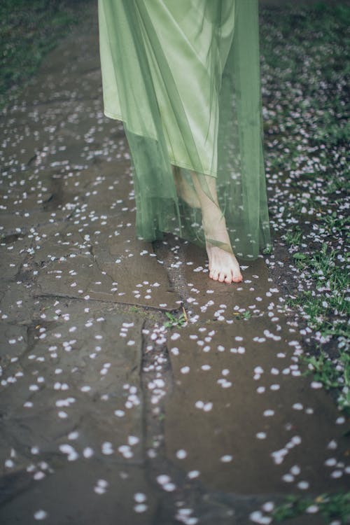คลังภาพถ่ายฟรี ของ กระโปรงสีเขียว, กลีบดอก, การเดิน