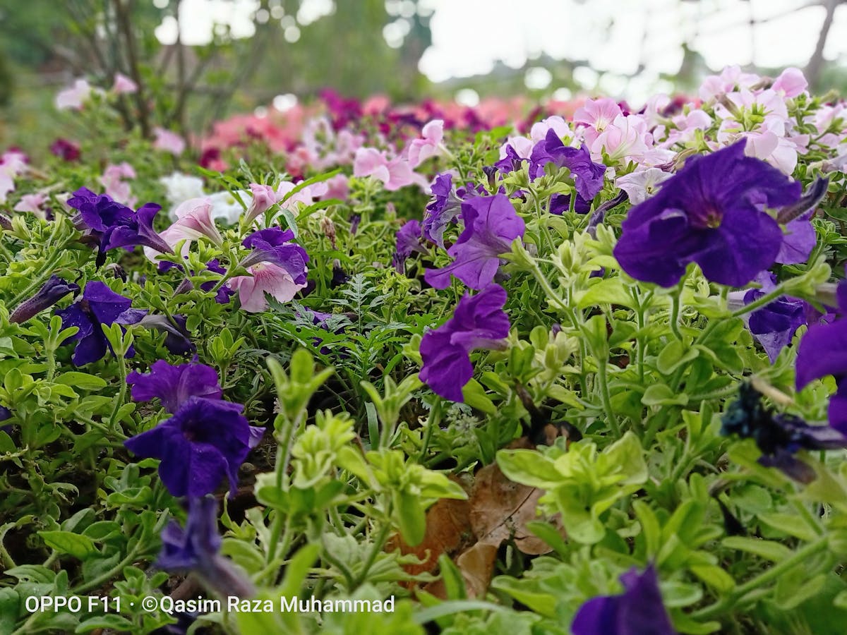 Close-up of a smartwatch showing sleep and recovery metrics