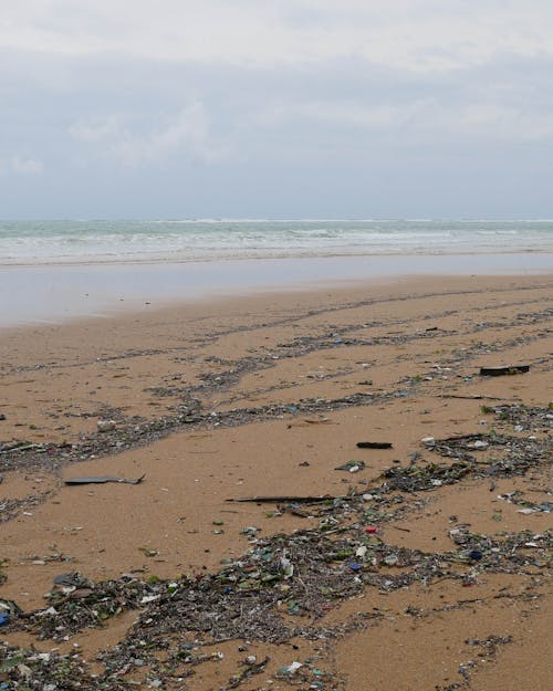Free stock photo of beach, beach clean up, bottles