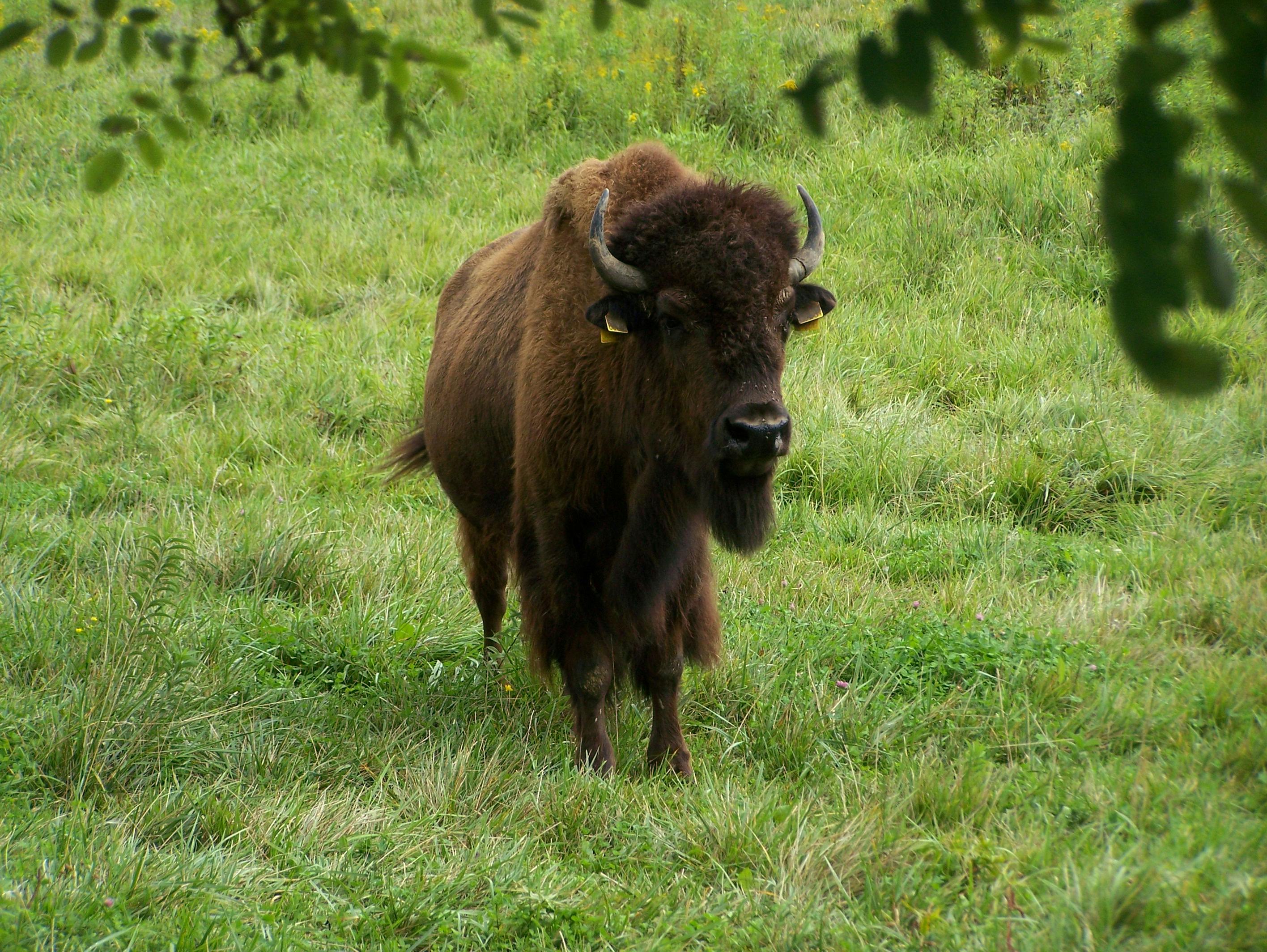 Teen biz on facebook