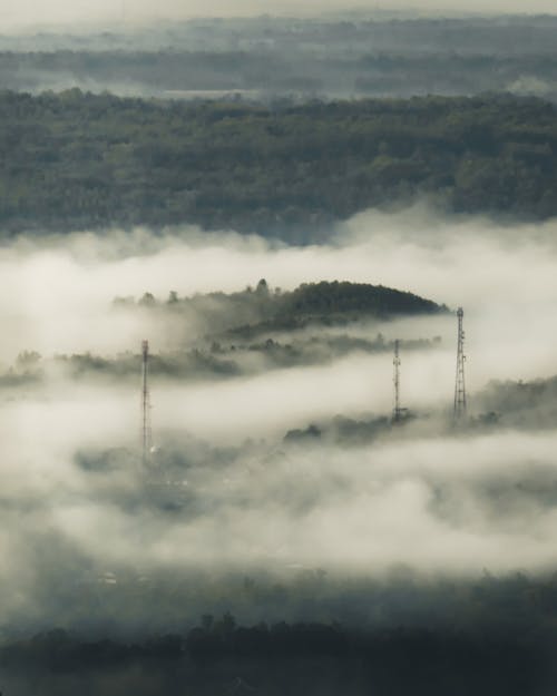 Free stock photo of alam, berkabut, bidang hijau